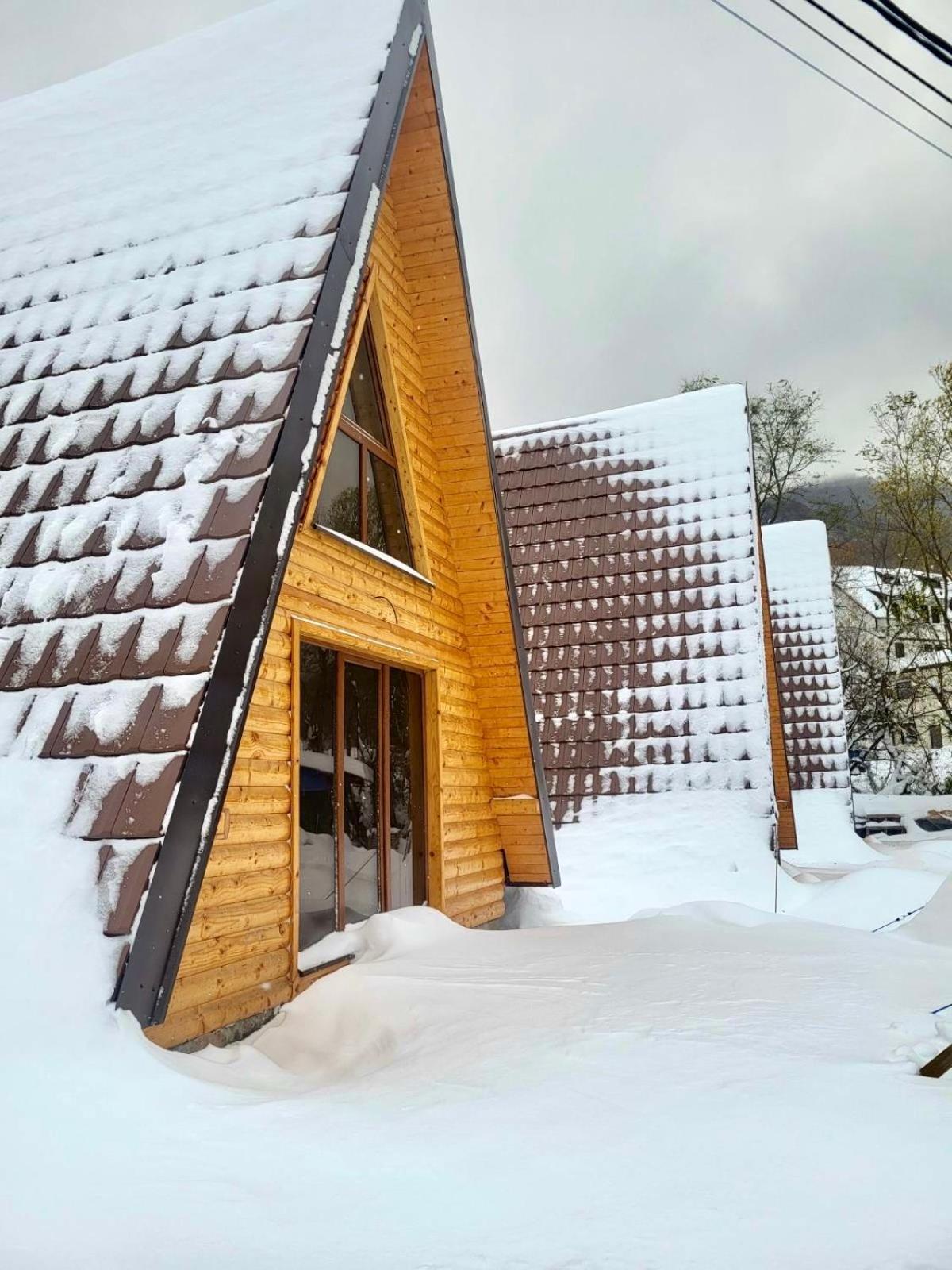 Brvnare Todorovic Villa Crni Vrh Exterior photo